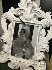 Pigeon diva taxidermy